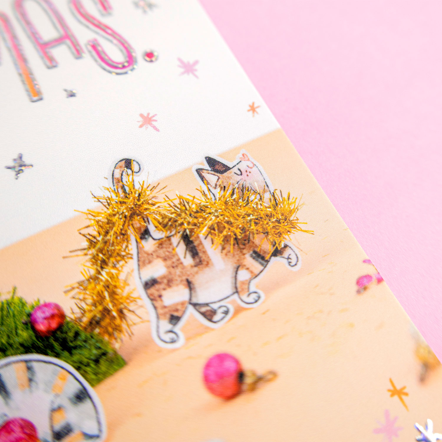 Close-up of Merry Catmas postcard by Franje Design