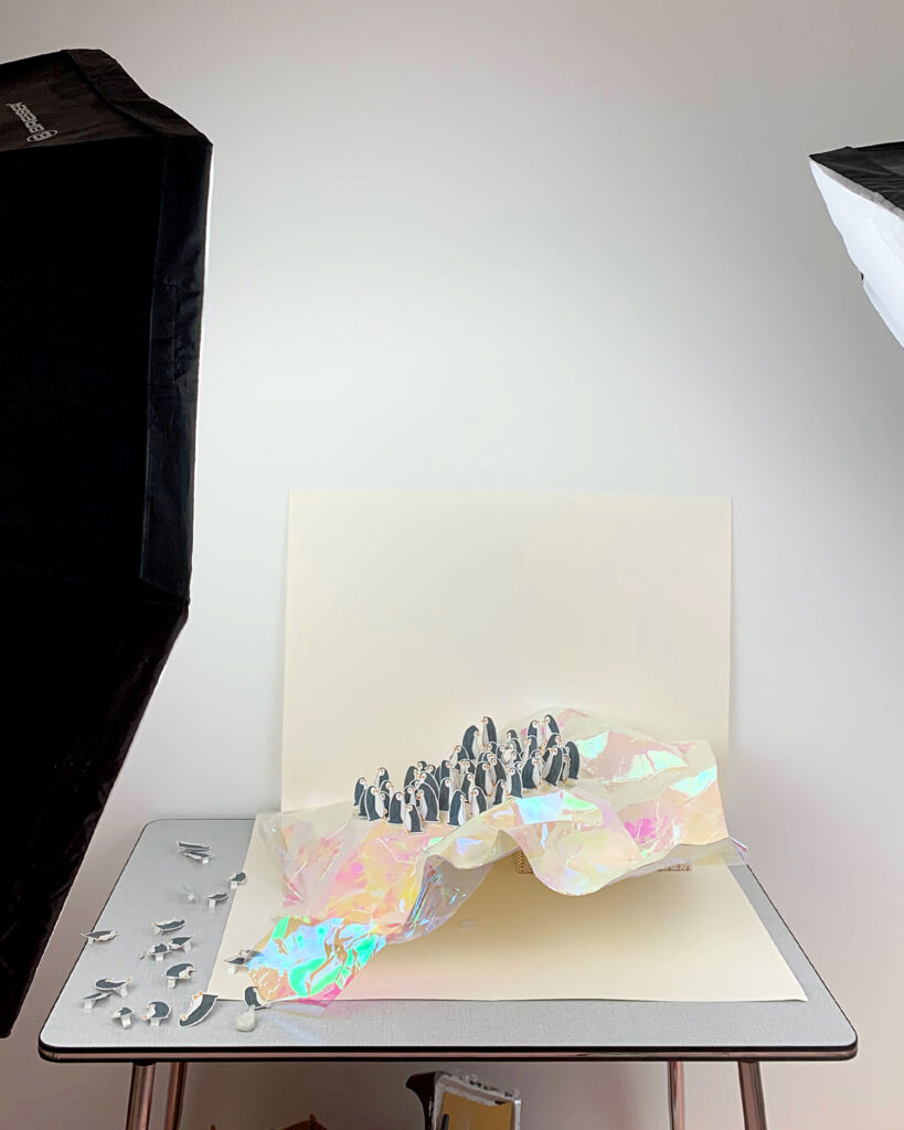 Behind the Scenes of Xl Poetry Postcard Penguins by Franje Design